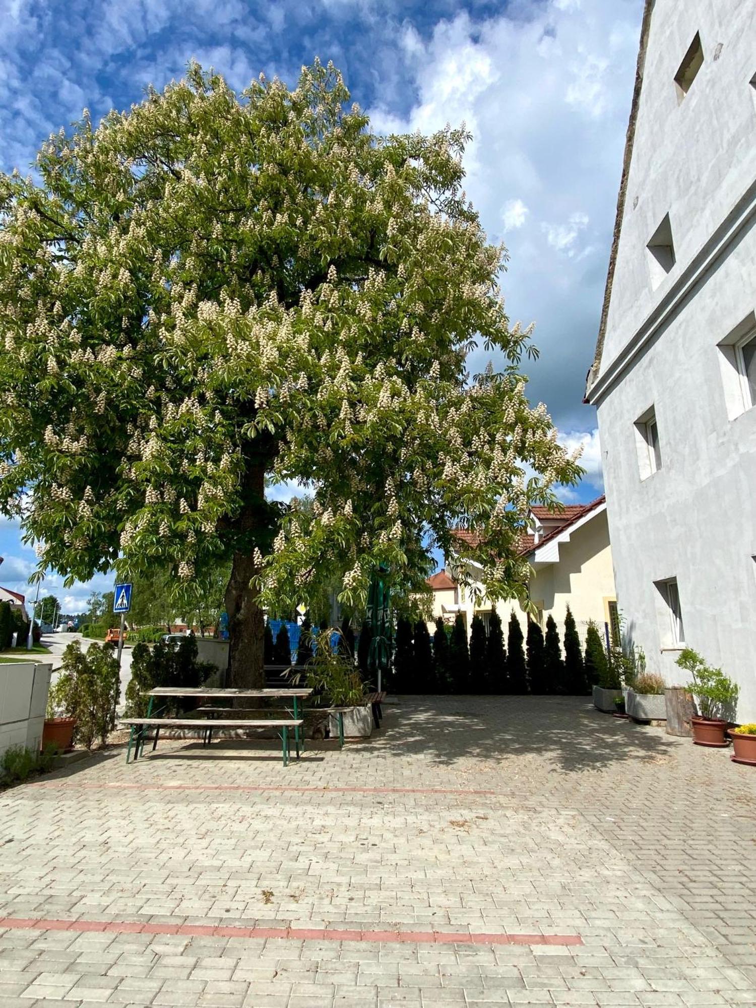 UbytovnaKaplice Exteriér fotografie